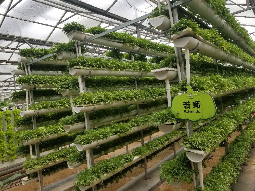 无土栽培设备